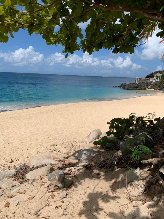 St Martin Nettle Bay Lovely Appartment Sandy Ground Εξωτερικό φωτογραφία